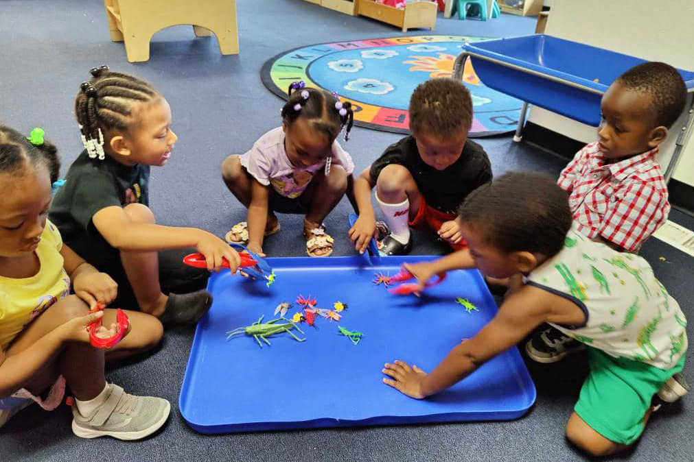 Curriculum That Promises Kindergarten Readiness